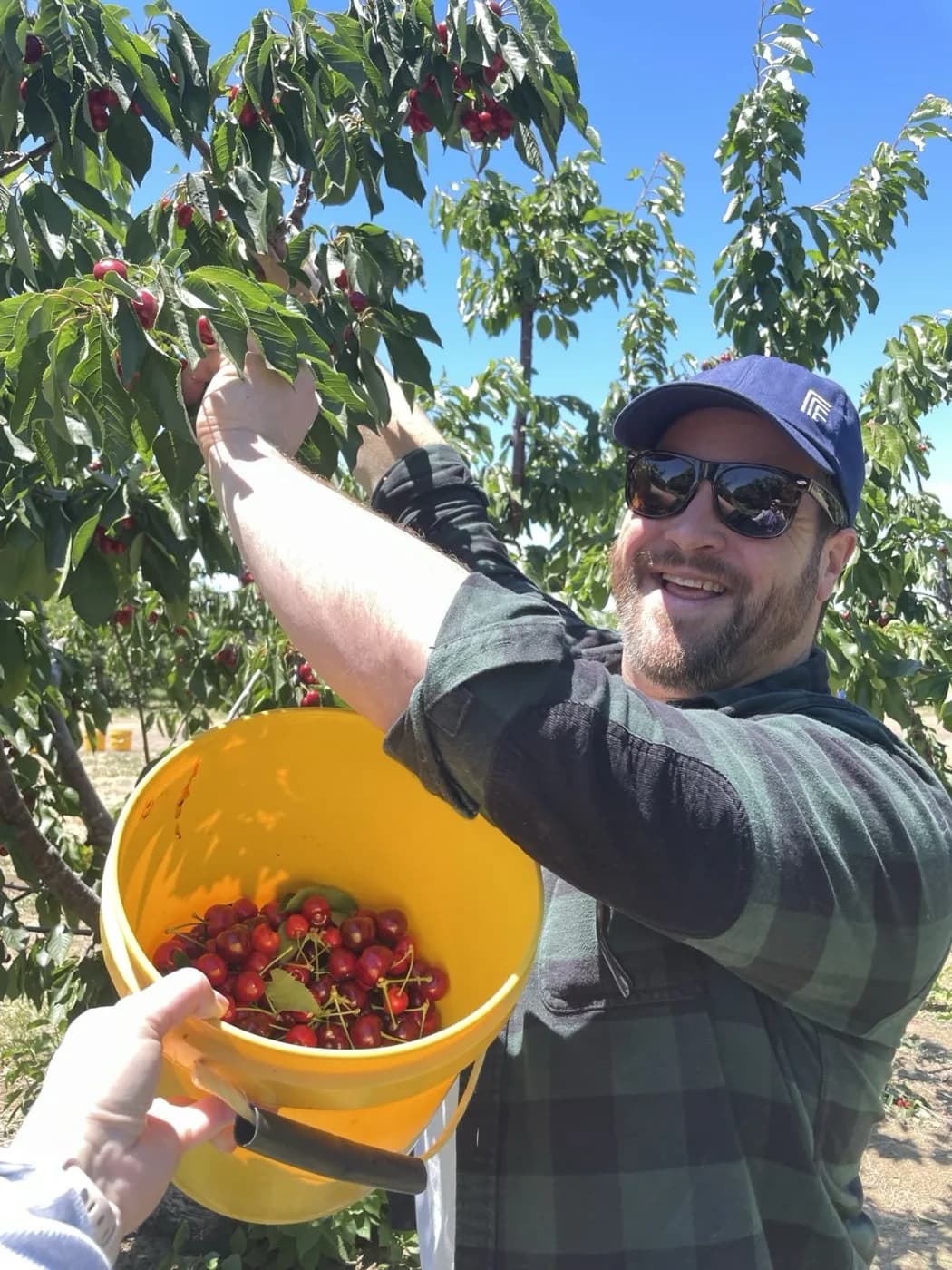 Kevin Roche picking cherries in an orchard